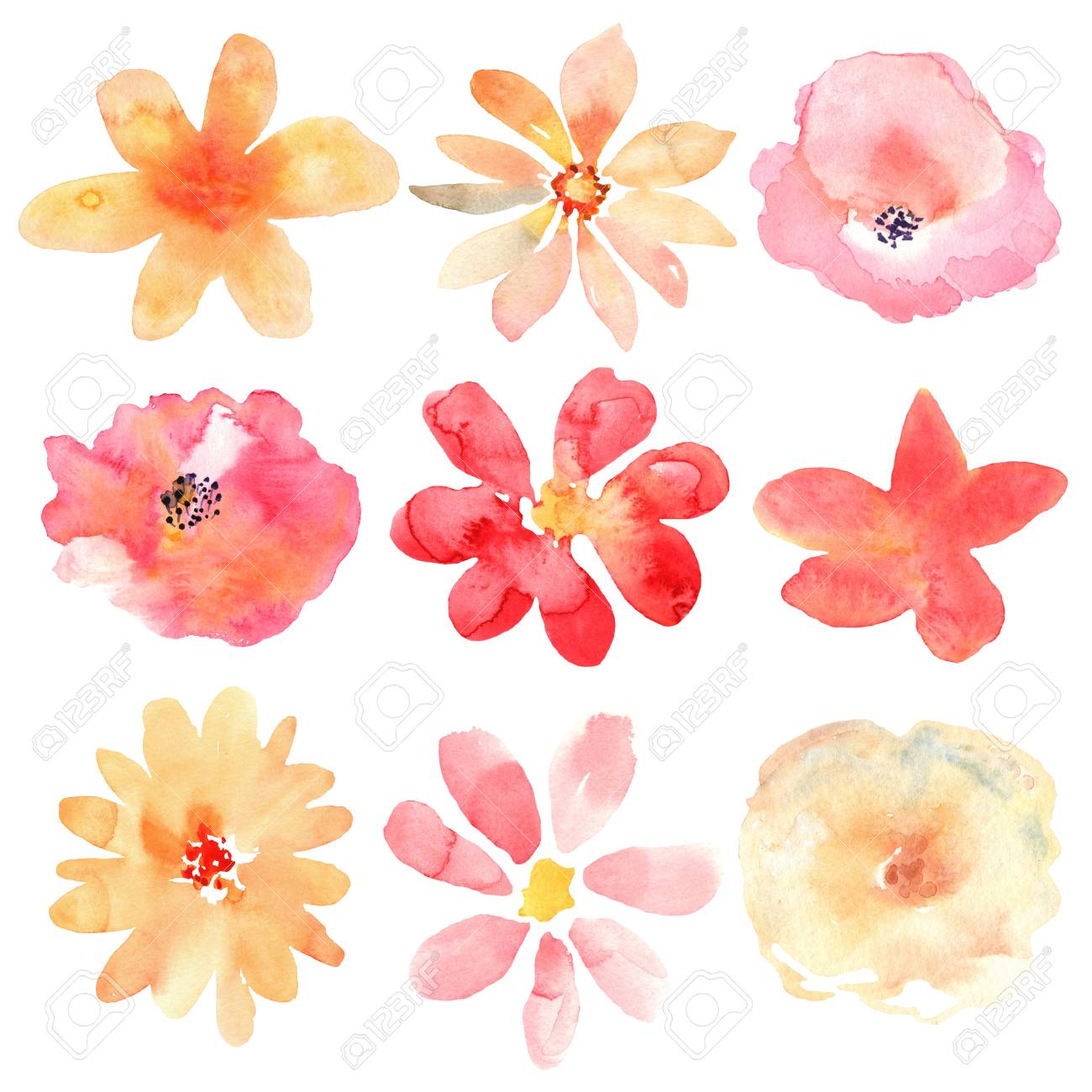 Floral Set. Collection With Flowers, Drawing Watercolor. Design For  Invitation, Wedding Or Greeting Cards Stock Photo, Picture and Royalty Free  Image. Image 67253979., image size:1300x1300