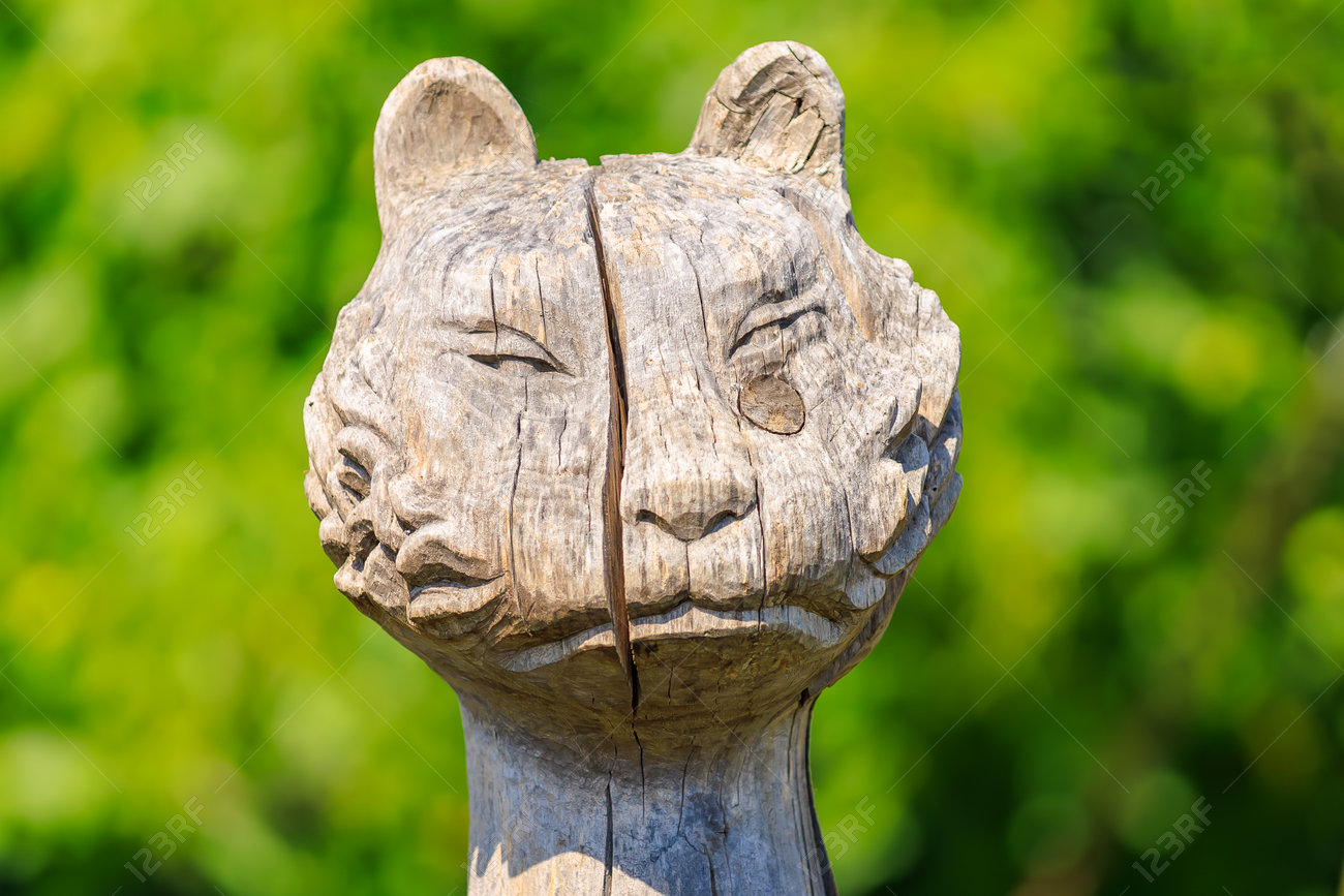 etiam-dictum-ipsum-a-felis