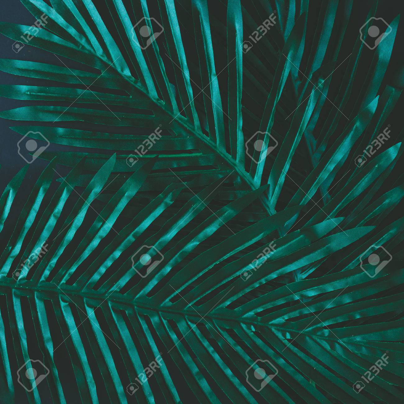 Creative layout made of tropical flowers and leaves. Flat lay. Nature concept - 72948708 Creative layout made of tropical flowers and leaves. Flat lay. Nature concept - 72948708