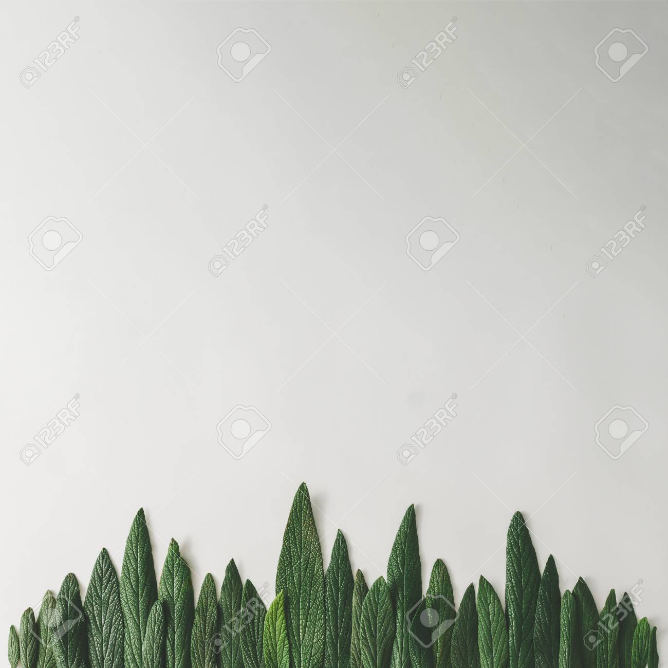 forest treeline made of