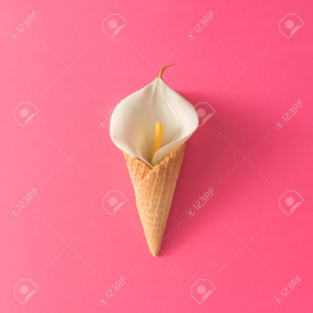 Ice cream cone with calla lily flower on pink background. Flat lay. Minimal summer concept. - 76154359 Ice cream cone with calla lily flower on pink background. Flat lay. Minimal summer concept. - 76154359
