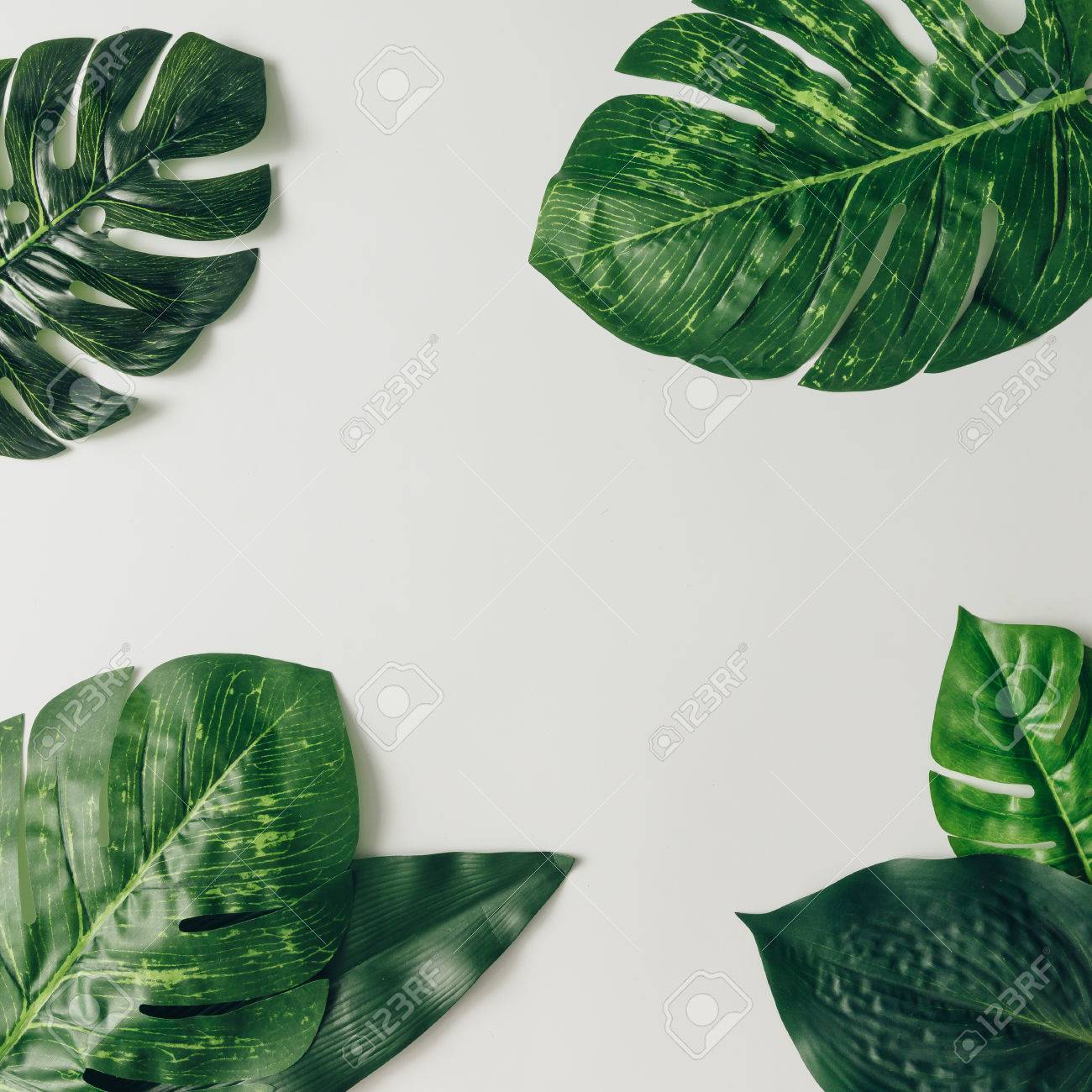Creative nature layout made of tropical leaves and flowers. Flat lay. Summer concept. - 76695988 Creative nature layout made of tropical leaves and flowers. Flat lay. Summer concept. - 76695988
