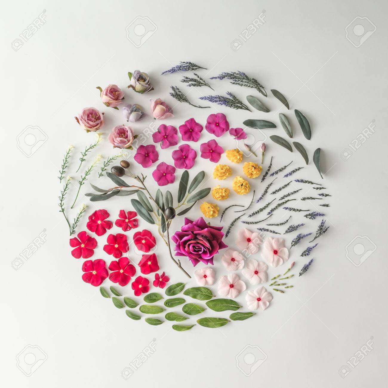Creative layout made of various flowers. Flat lay. Nature background - 85113241 Creative layout made of various flowers. Flat lay. Nature background - 85113241