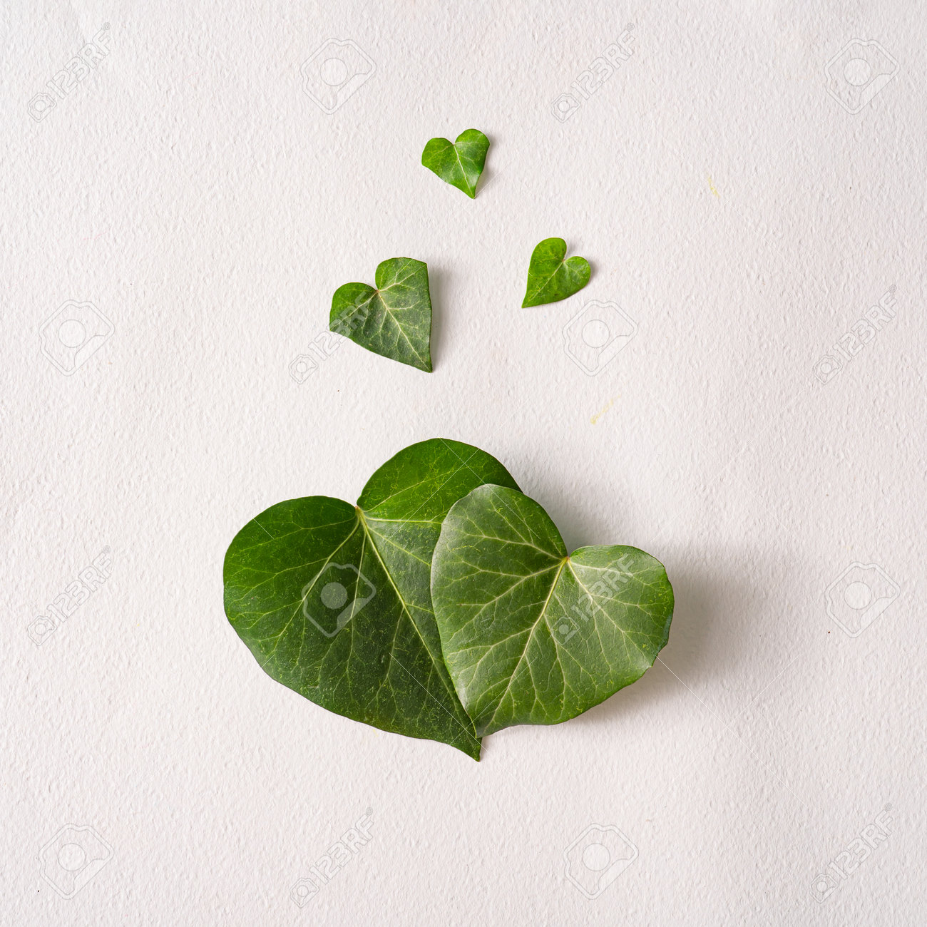 Love valentines concept. Heart shape leaves with paper card note. Minimal flat lay green background. Design valentine or woman's day template. - 162580146 Love valentines concept. Heart shape leaves with paper card note. Minimal flat lay green background. Design valentine or woman's day template. - 162580146