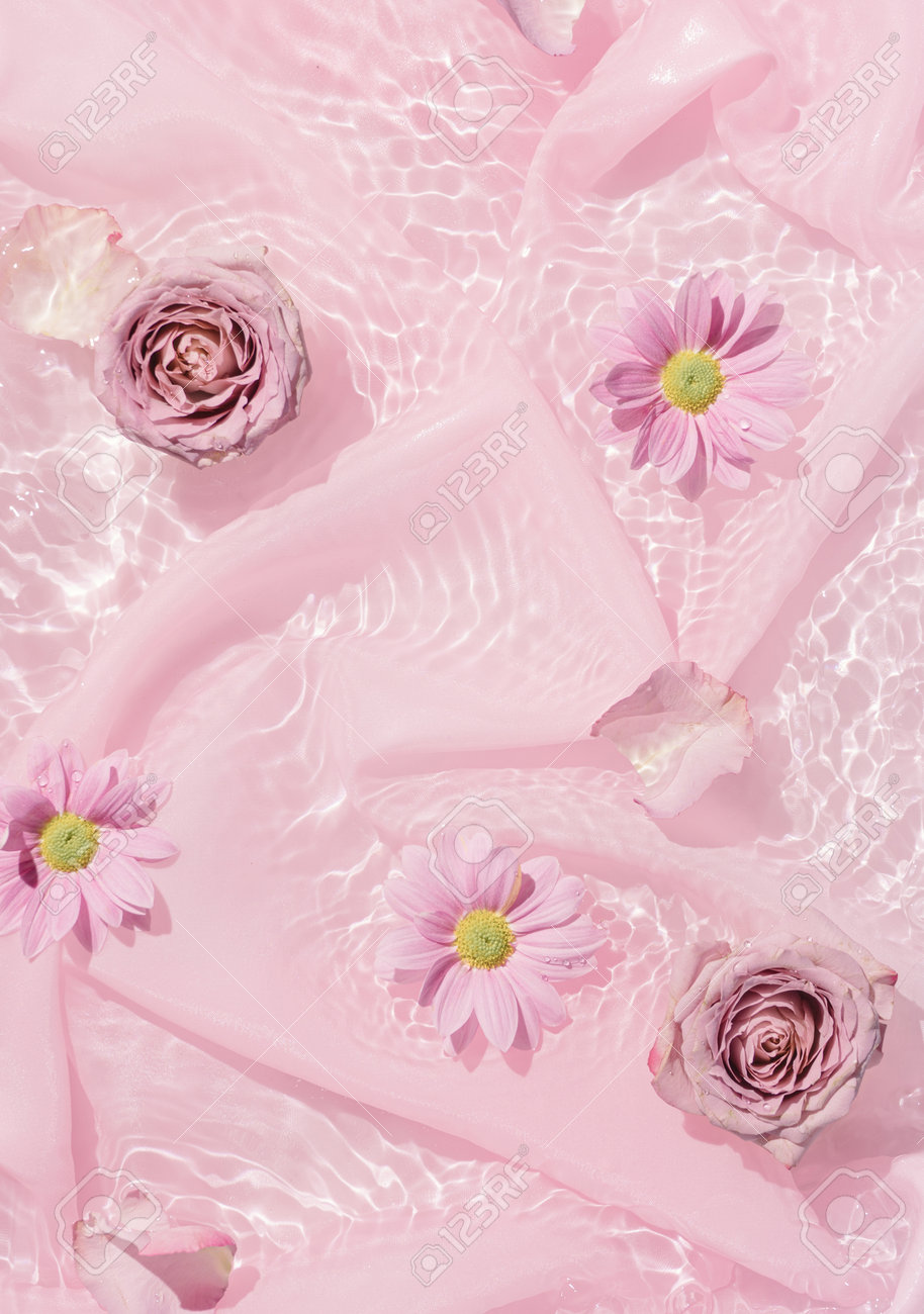 Pink rose flowers in water with silk fabric. Valentines or woman's day background design. Minimal flat lay nature. - 162580147 Pink rose flowers in water with silk fabric. Valentines or woman's day background design. Minimal flat lay nature. - 162580147