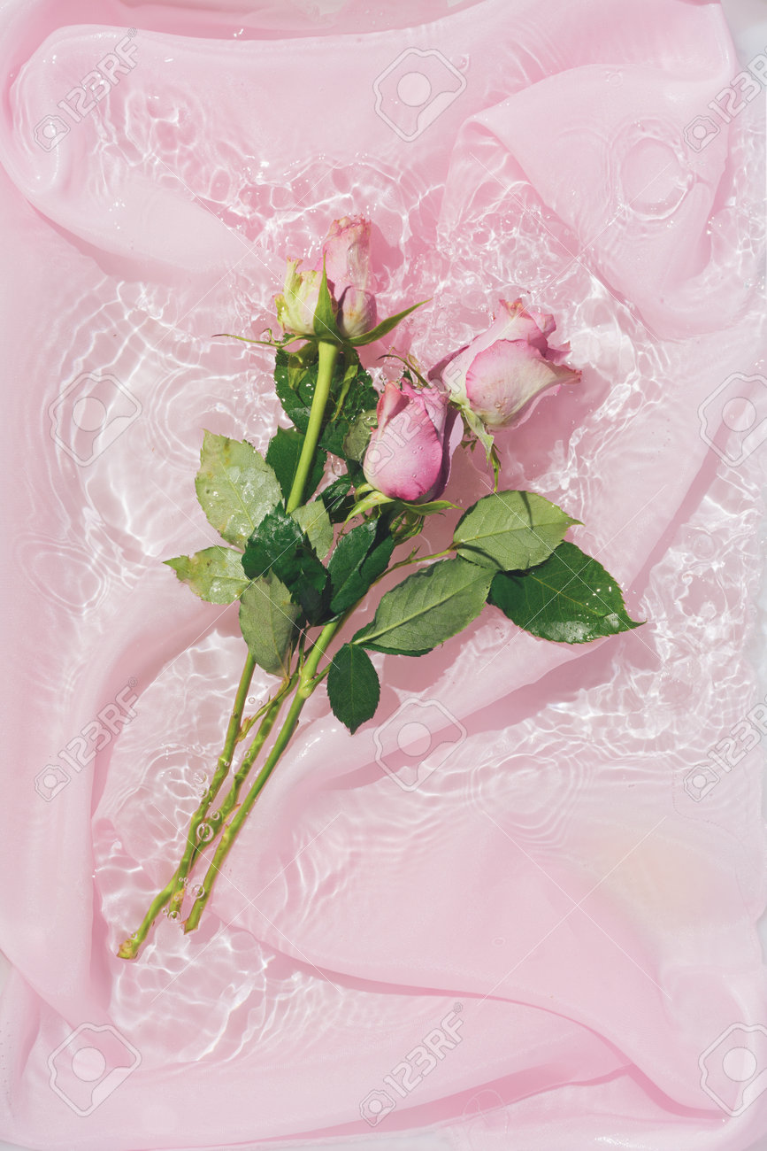 Pink rose flower bouquet in water with silk fabric. Valentines or woman's day background design. Minimal flat lay nature. - 162580158 Pink rose flower bouquet in water with silk fabric. Valentines or woman's day background design. Minimal flat lay nature. - 162580158