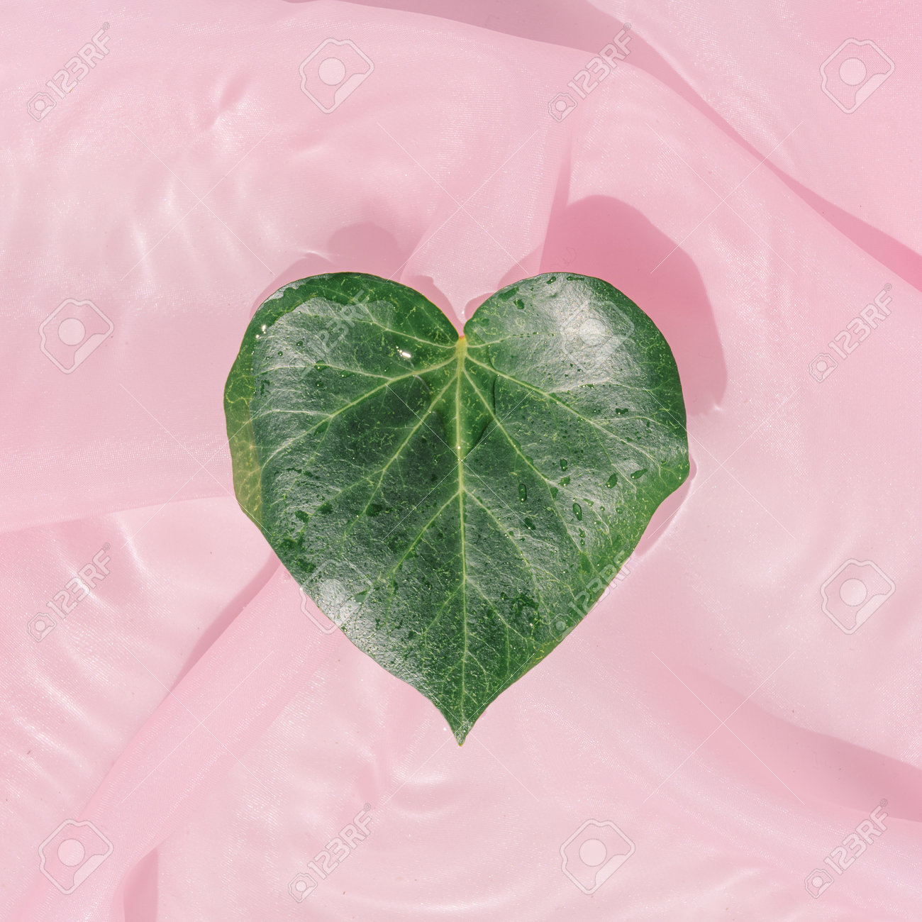 Heart shaped leaf in water with pink silk fabric. Minimal creative valentines or woman's day concept. Nature flat lay. - 162580162 Heart shaped leaf in water with pink silk fabric. Minimal creative valentines or woman's day concept. Nature flat lay. - 162580162