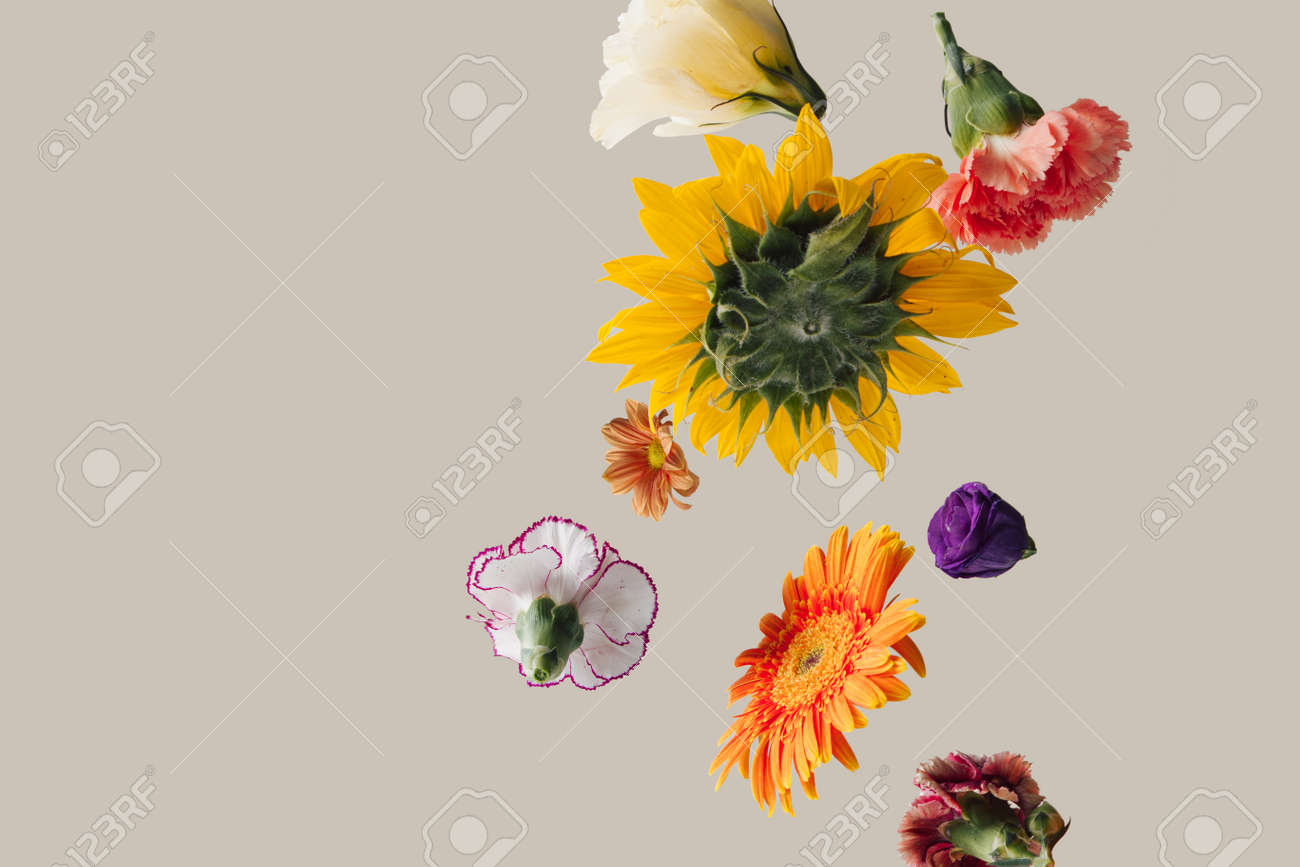 Creative arrangement with various spring flowers against pastel beige background. Minimal nature concept. - 163336847 Creative arrangement with various spring flowers against pastel beige background. Minimal nature concept. - 163336847