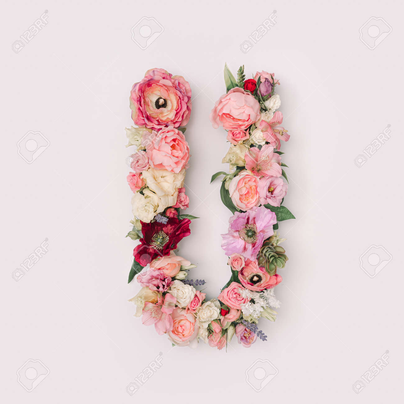 Letter U made of real natural flowers and leaves. Flower font concept. Unique collection of letters and numbers. Spring, summer and valentines creative idea. - 163345338 Letter U made of real natural flowers and leaves. Flower font concept. Unique collection of letters and numbers. Spring, summer and valentines creative idea. - 163345338
