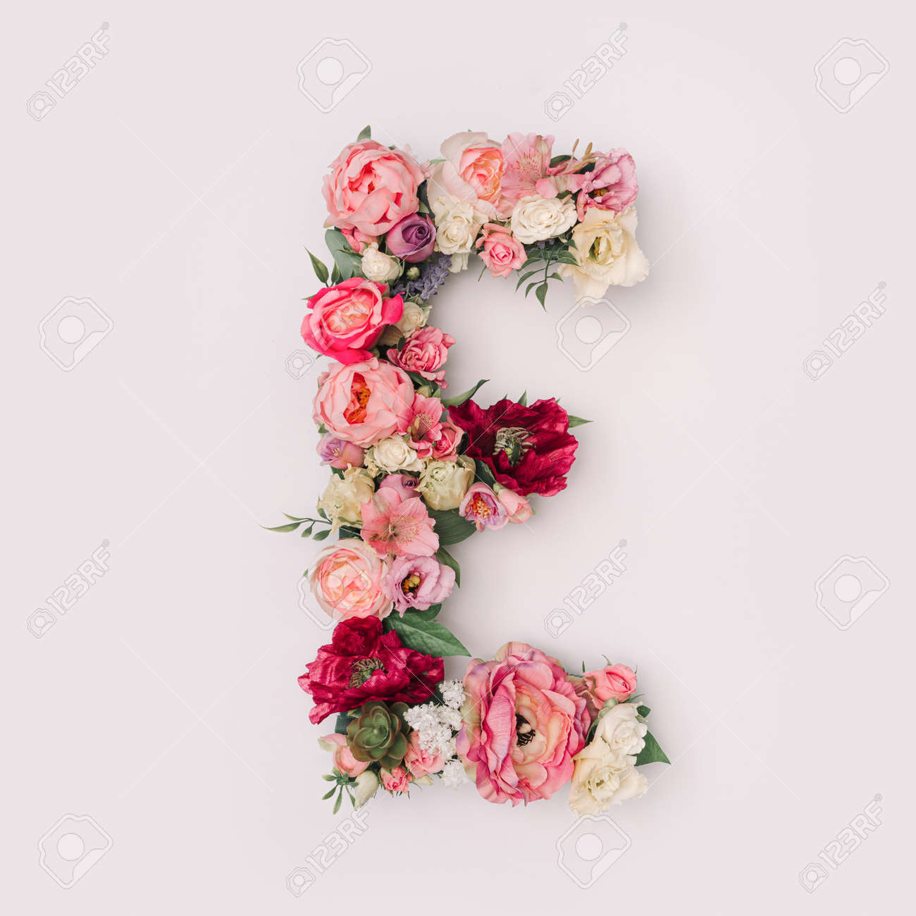 Design De Letra De Texto Com Folhas E Bagas Naturais Foto de Stock - Imagem de folha, sazonal: 254832106
