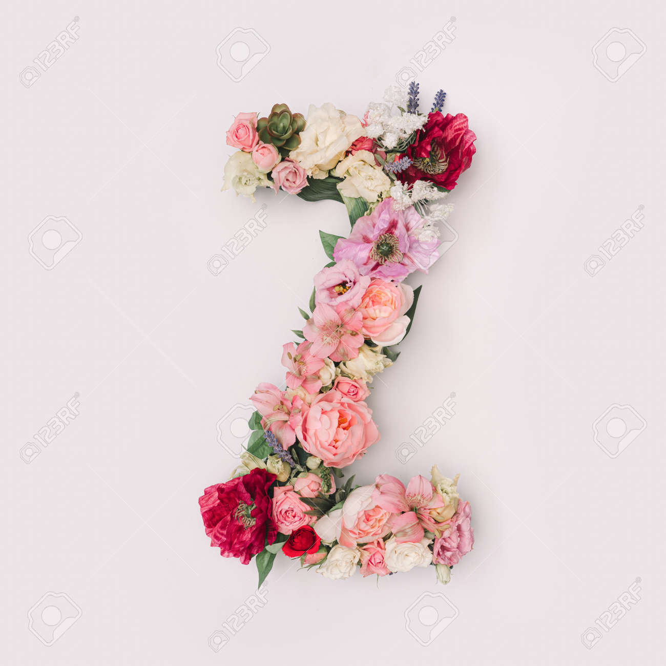 Letter Z made of real natural flowers and leaves. Flower font concept. Unique collection of letters and numbers. Spring, summer and valentines creative idea. - 163345673 Letter Z made of real natural flowers and leaves. Flower font concept. Unique collection of letters and numbers. Spring, summer and valentines creative idea. - 163345673