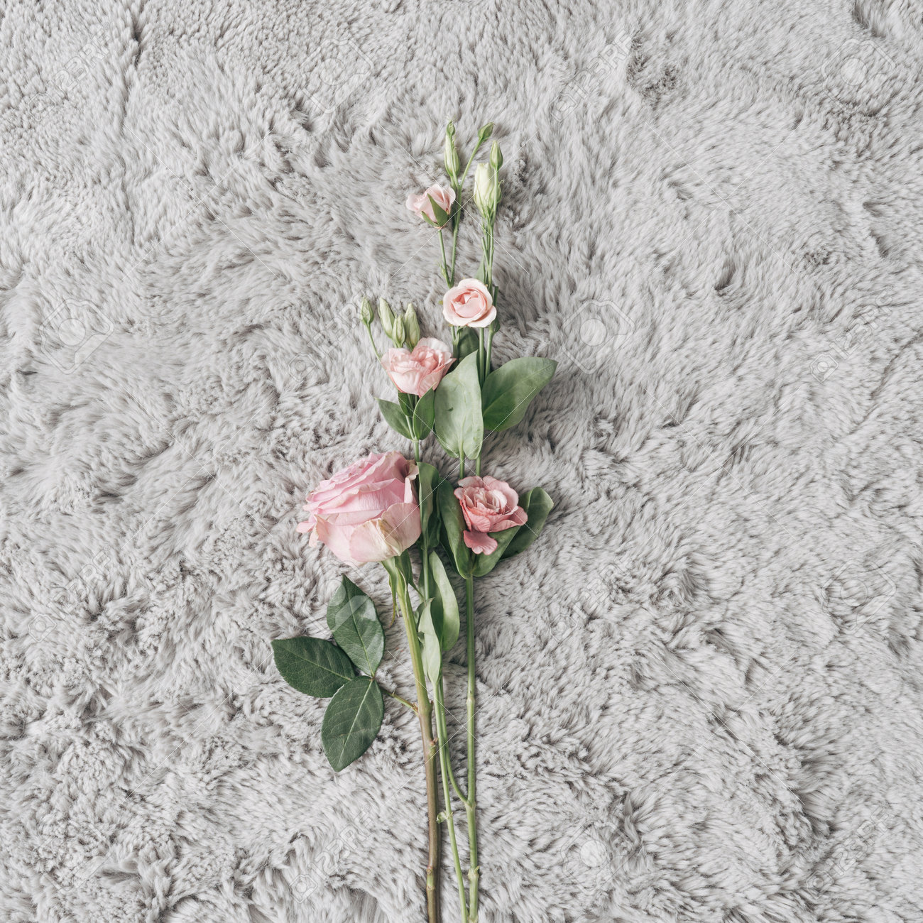 Fur background with Spring or Summer flowers. Minimal nature love concept. Mother's day Or Valentines idea. - 163288099 Fur background with Spring or Summer flowers. Minimal nature love concept. Mother's day Or Valentines idea. - 163288099