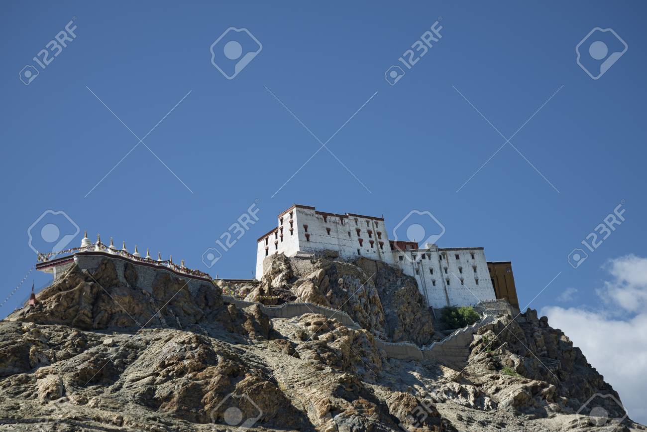 etiam-dictum-ipsum-a-felis