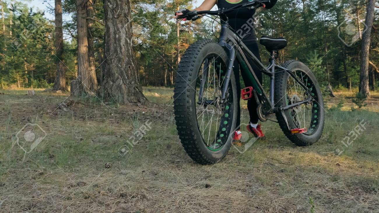 fat bike road tires