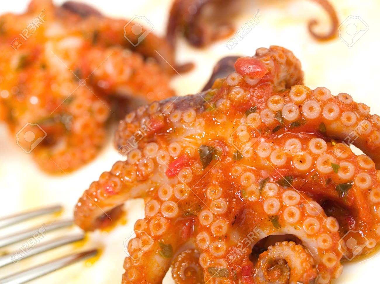 タコのトマト煮込み の写真素材 画像素材 Image