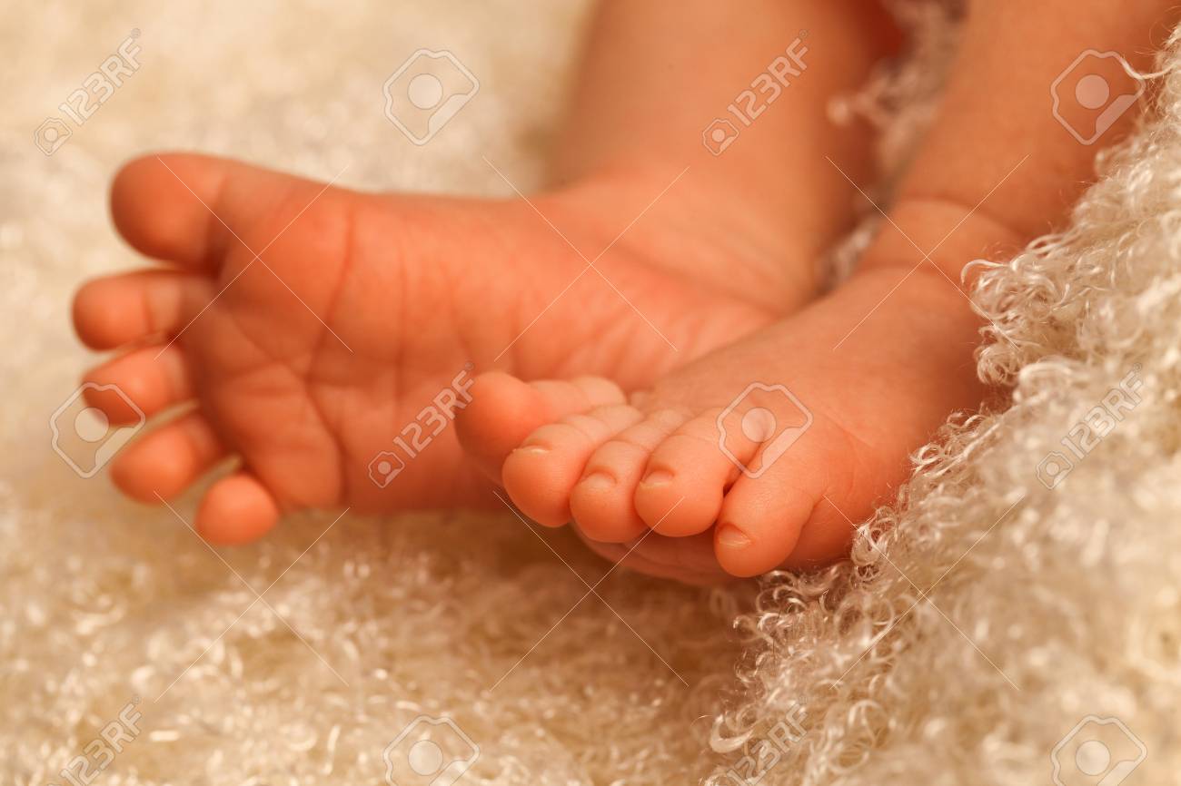 garnier oil control moisturizer