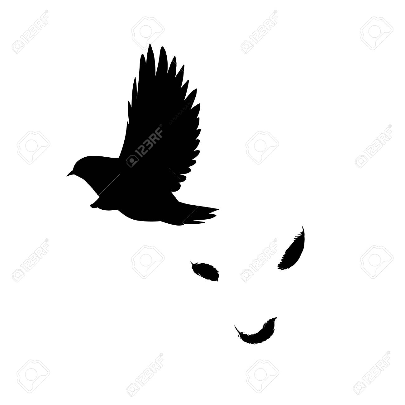 black flying bird silhouette concept with falling feathers in