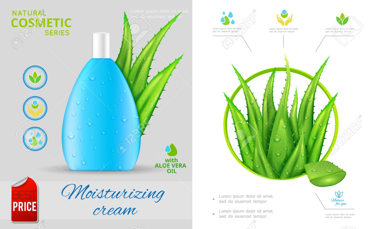 aloe vera plant moisturizer