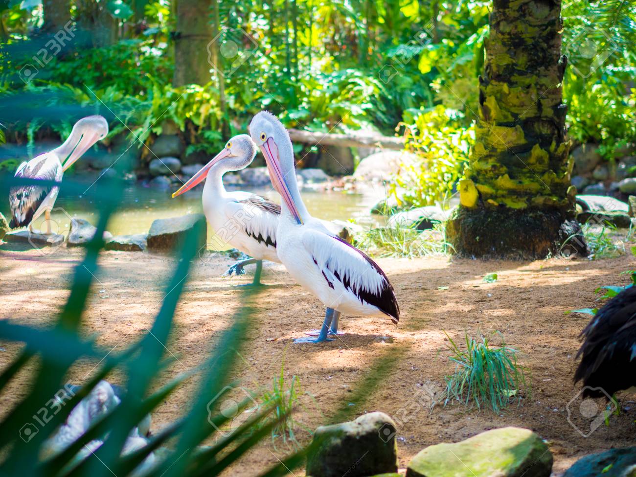 etiam-dictum-ipsum-a-felis