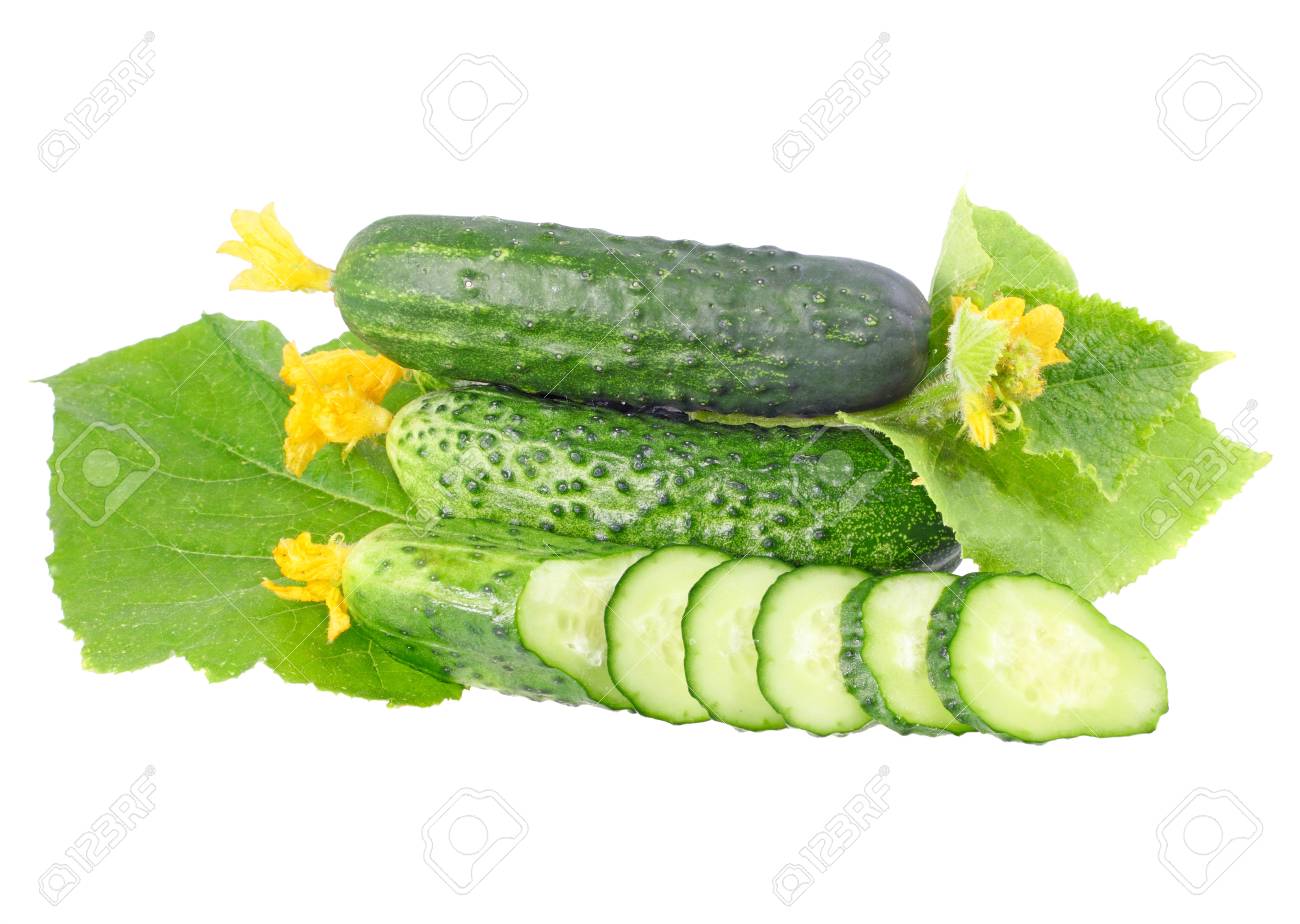 緑の葉と黄色い花のクラスターにきゅうりを切断します 白で隔離されました の写真素材 画像素材 Image