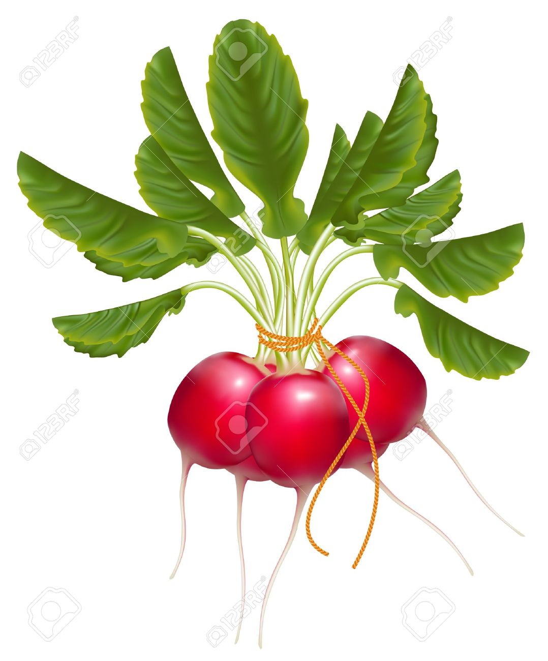TRIPLE Radish Bunch