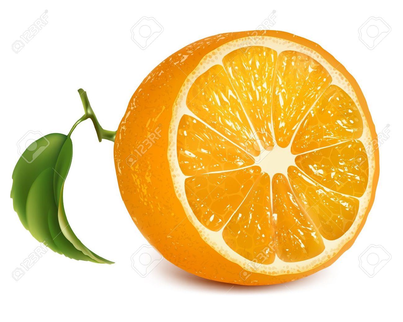 Vector Fresh Ripe Orange With Leaf Royalty Free Cliparts Vectors