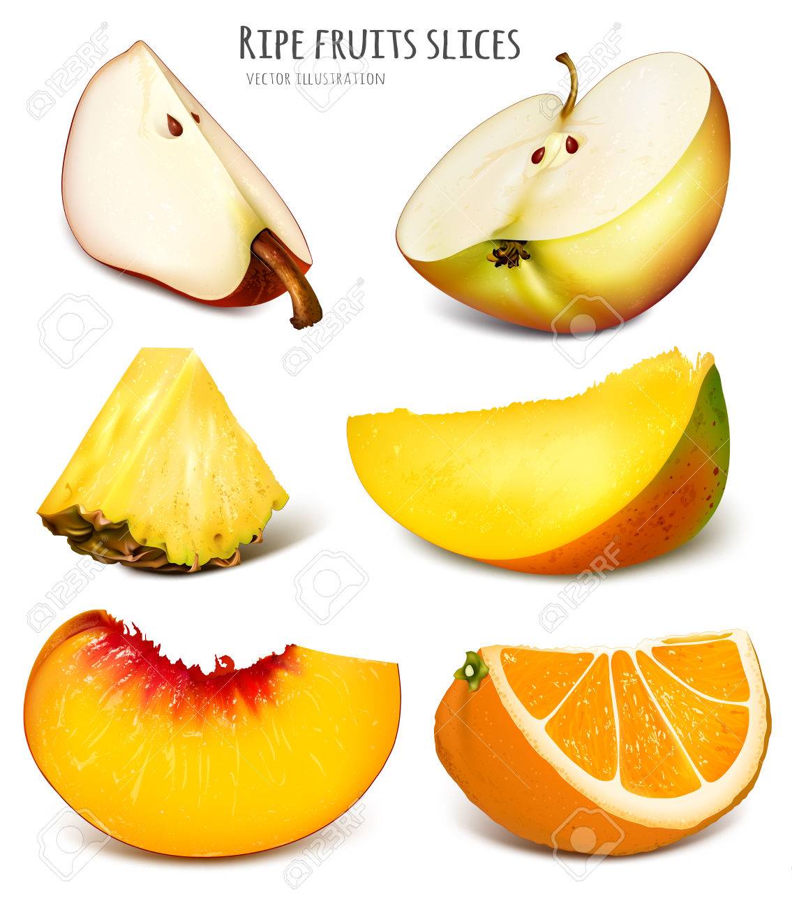 slices of fresh fruits fully editable handmade mesh vector