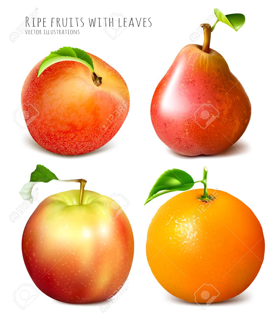 collection of fresh ripe fruits fully editable handmade mesh