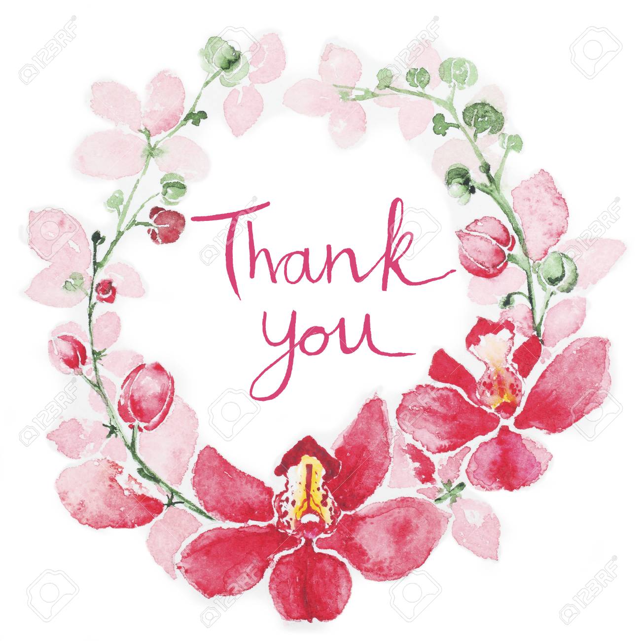 ありがとうございます.* ⚘