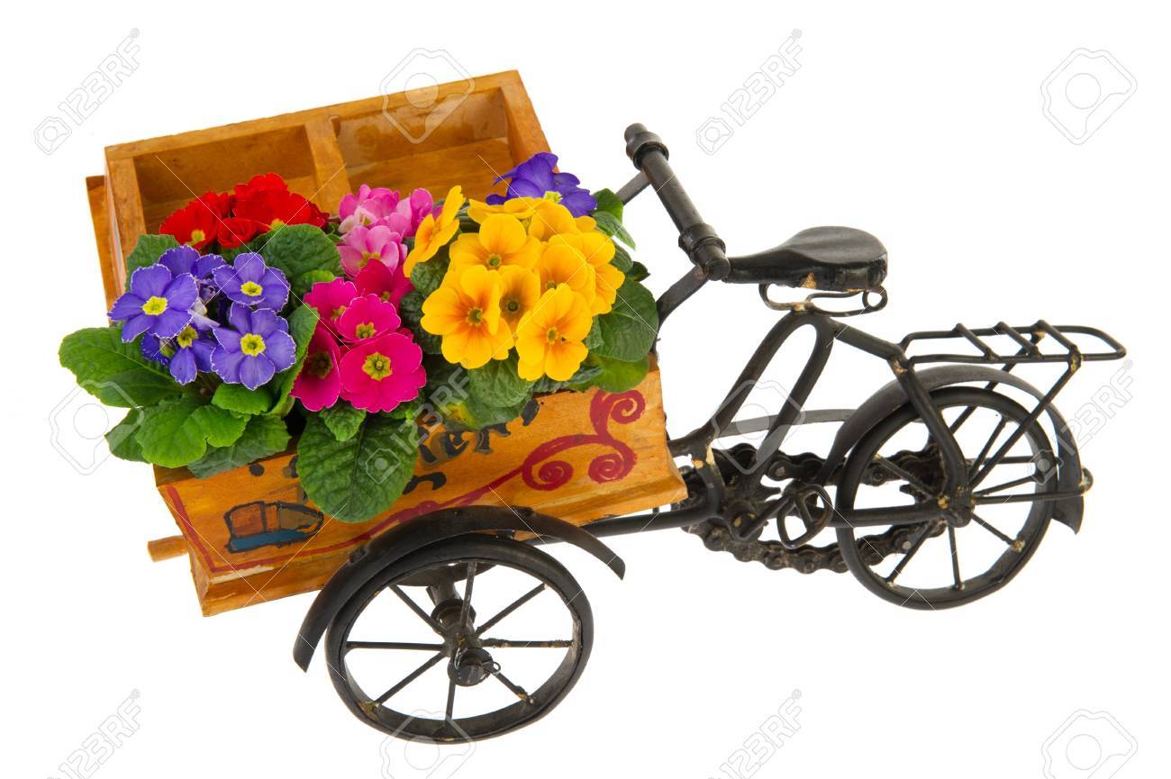 お花屋さんから花を持って来ることのための自転車 の写真素材 画像素材 Image