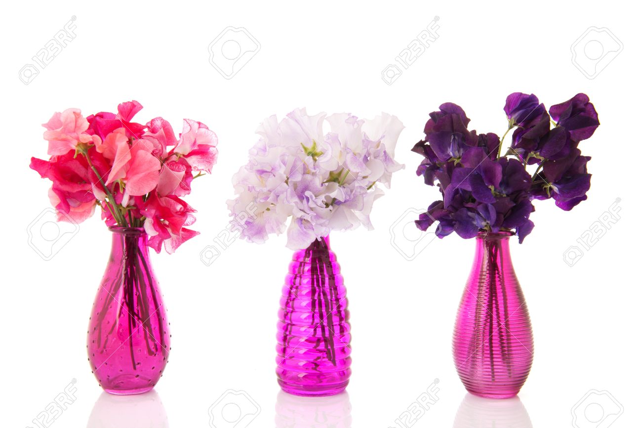 カラフルなブーケ ピンクのガラスの花瓶スイートピーの写真素材・画像