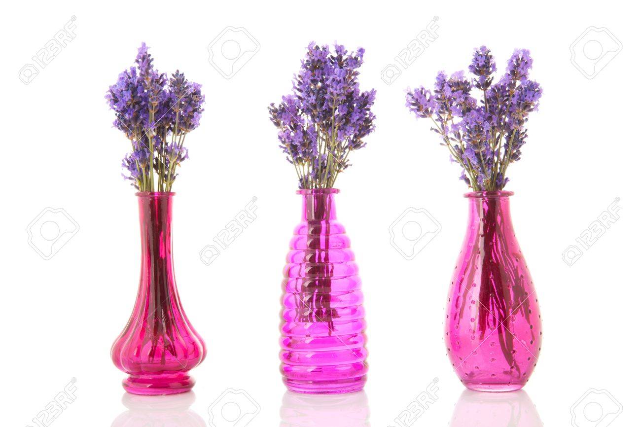 ピンク花瓶ラベンダーの小枝を持つ行 の写真素材 画像素材 Image