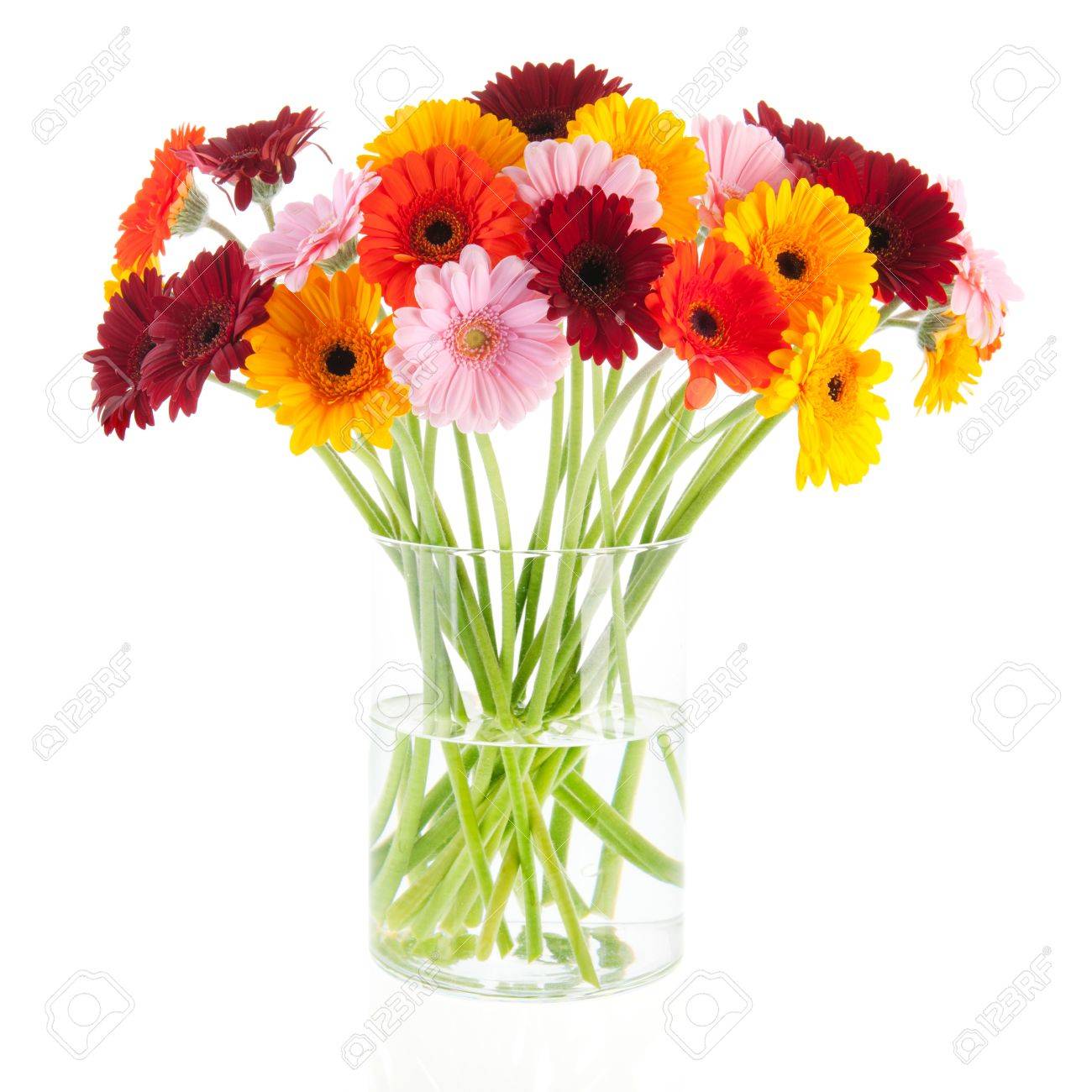 Ramo De Flores De Gerber En Florero De Vidrio Aislado Mas De Blanco Backgroud Fotos Retratos Imagenes Y Fotografia De Archivo Libres De Derecho Image 19275141