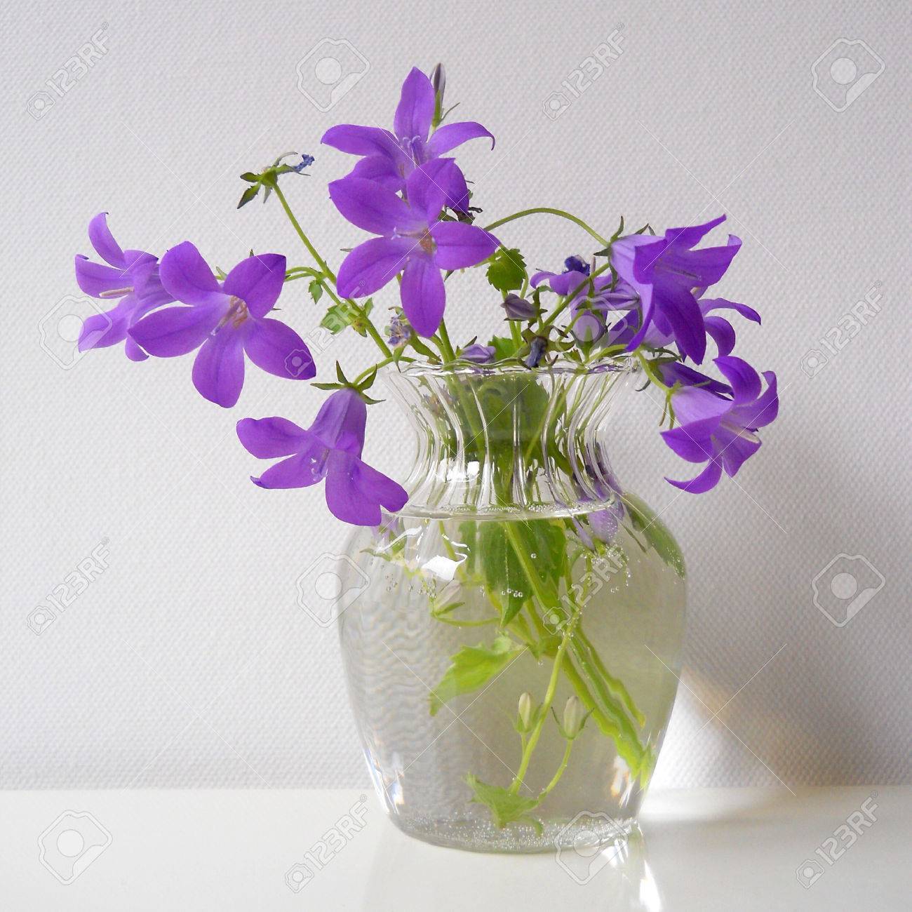 ガラス花瓶のブルーベルの花の花束 の写真素材 画像素材 Image