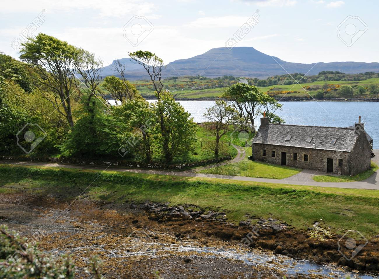 etiam-dictum-ipsum-a-felis