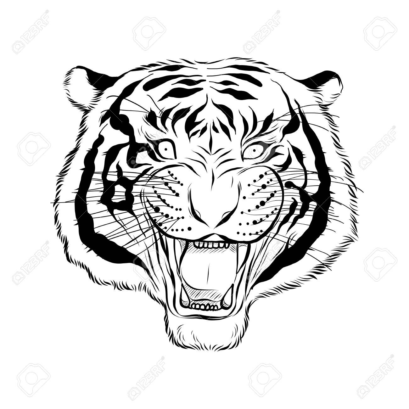 B13c8357a1 First Rate The Best Attitude Tiger Zentangle Tiger Face