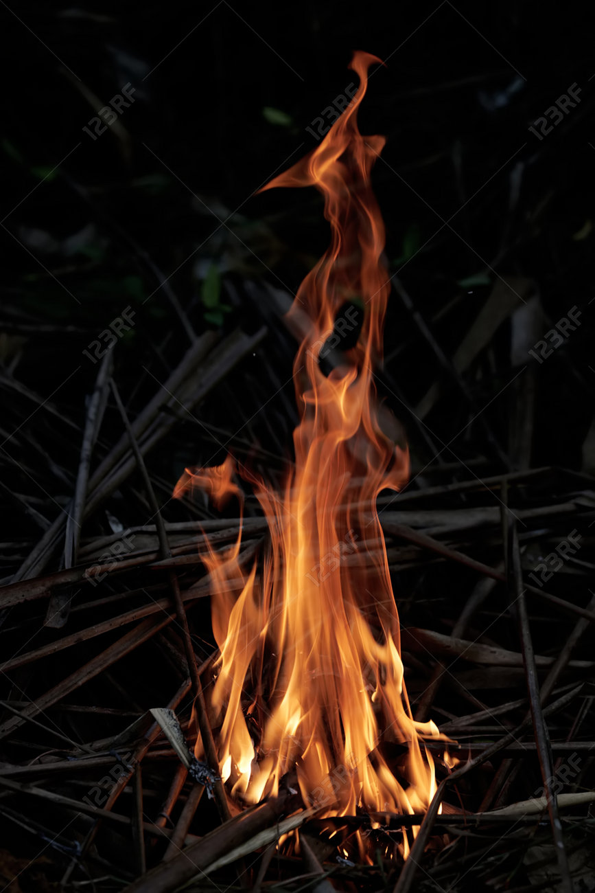 etiam-dictum-ipsum-a-felis