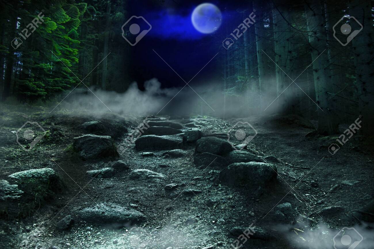 Spooky Forest In The Night With Full Moon And Rocky Pathway Stock Photo Picture And Royalty Free Image Image 140562069