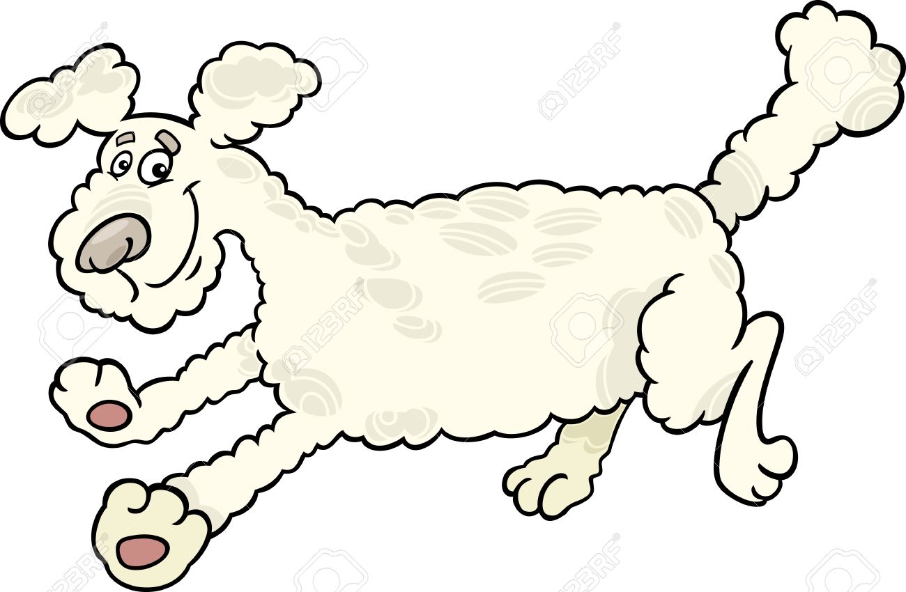 かわいい走っているプードル犬の漫画イラストのイラスト素材 ベクタ Image