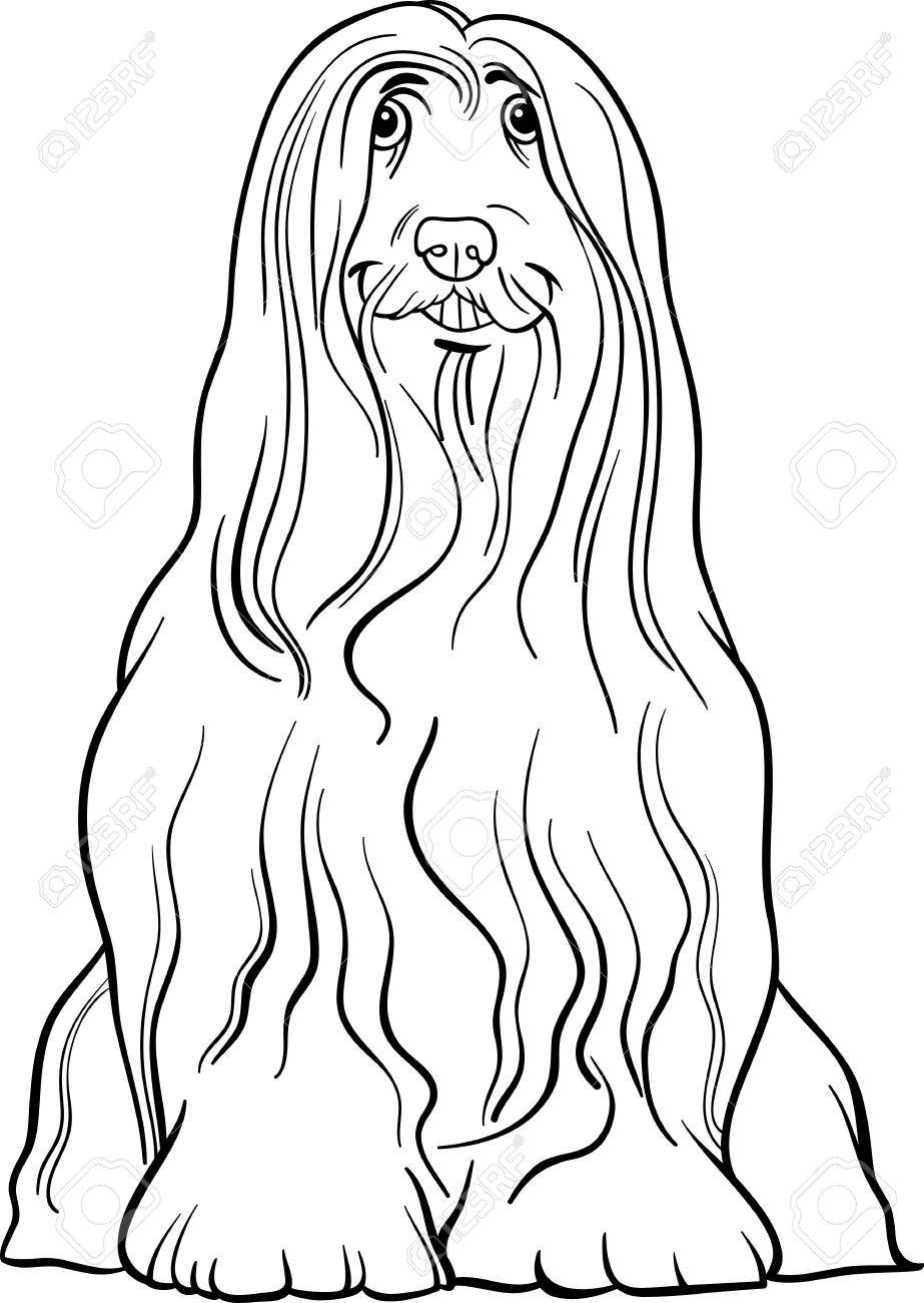 Illustration De Dessin Animé En Noir Et Blanc De Chien Colley Barbu De Race Mignon Pour Coloring Book