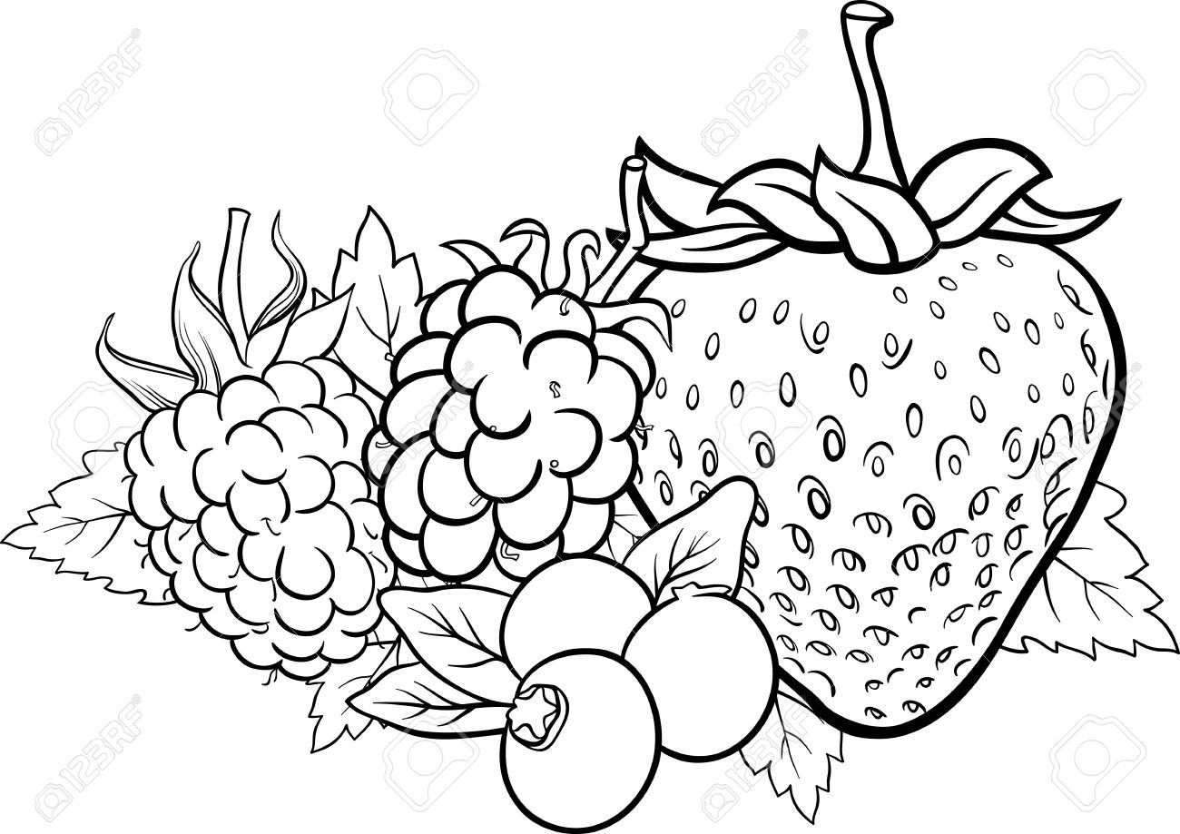 Blanco Y Negro Ilustracion De La Historieta De Cuatro Berry Frutas Como Arandanos Y Moras Y Frambuesas Y Diseno Alimentos De La Fresa Por Coloring Book Ilustraciones Vectoriales Clip Art Vectorizado Libre