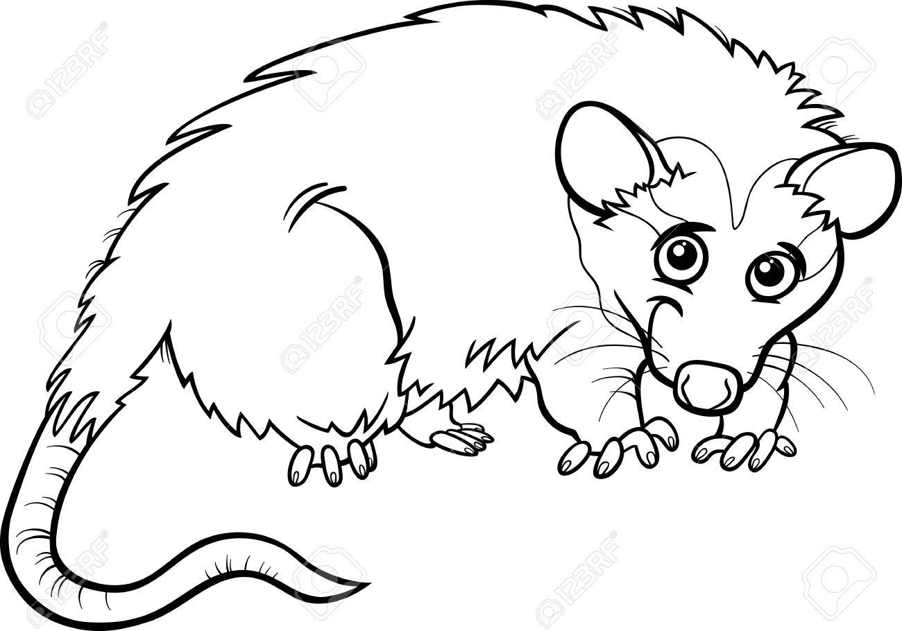 86+ Coloring Book Quoll Free