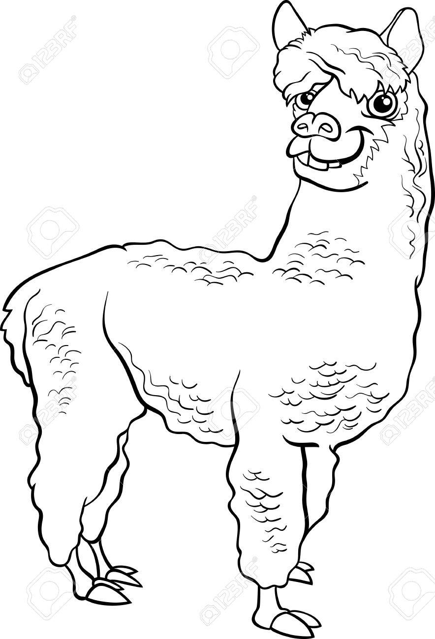 本を着色面白いアルパカ農場の動物の黒と白の漫画イラストのイラスト素材 ベクタ Image 29119875