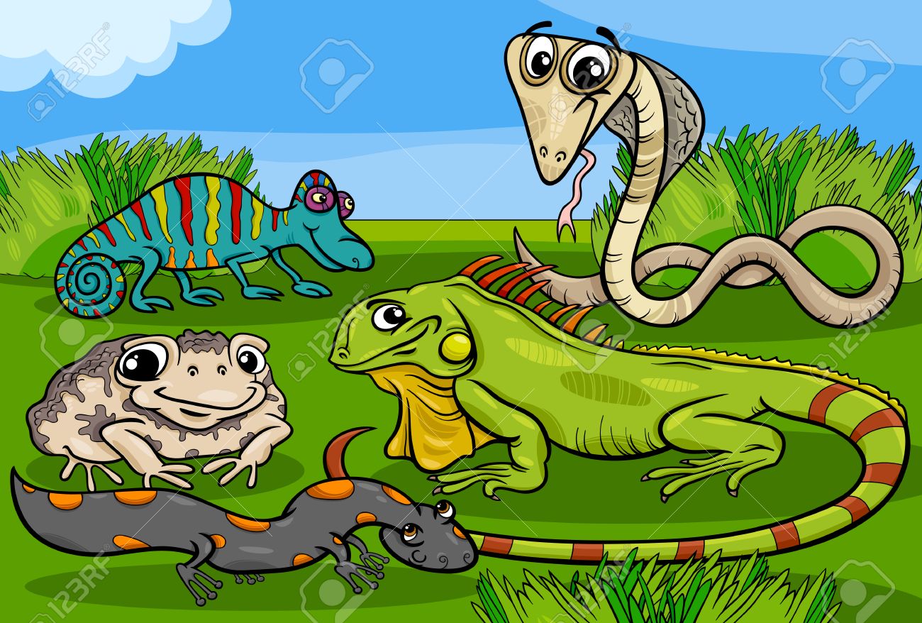 Cartoon Illustrations Of Funny Reptiles And Amphibians Animals Characters Group Royalty Free SVG, Cliparts, Vectors, And Stock Illustration. Image 31487147. Cartoon Illustrations Of Funny Reptiles And Amphibians Animals Characters Group Royalty Free SVG, Cliparts, Vectors, And Stock Illustration. Image 31487147.