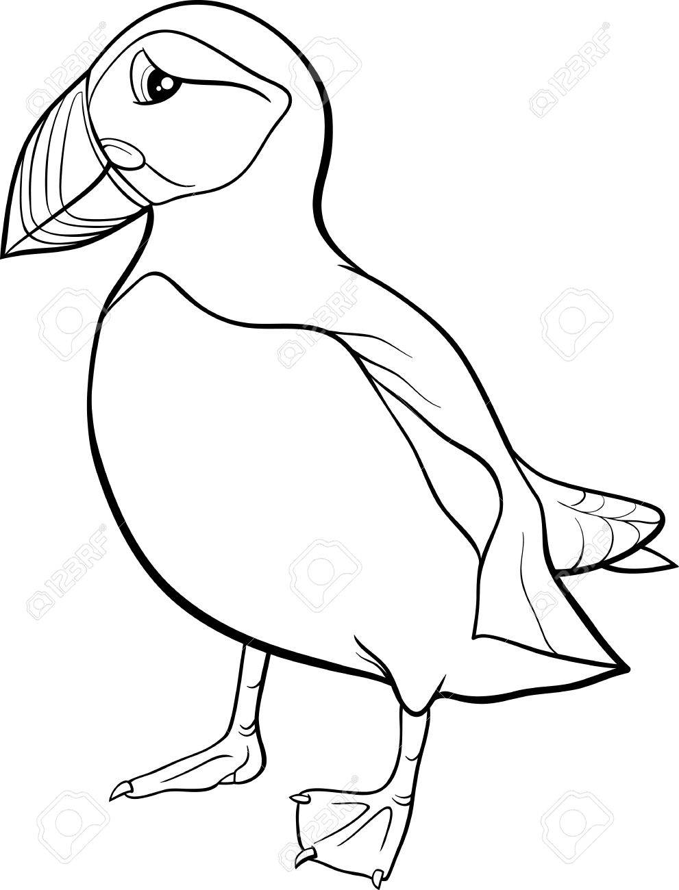 大西洋 Puffin 鳥塗り絵用の黒と白の漫画イラスト のイラスト素材 ベクタ Image 40547487