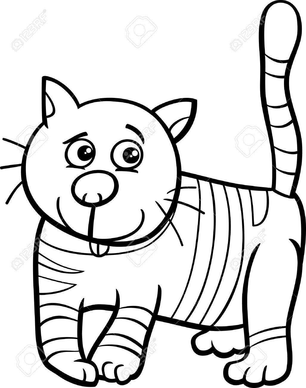 Beste Anatomie Der Katze Zeitgen Ssisch Menschliche Anatomie Beste Anatomie Der Katze Zeitgen Ssisch Menschliche Anatomie
