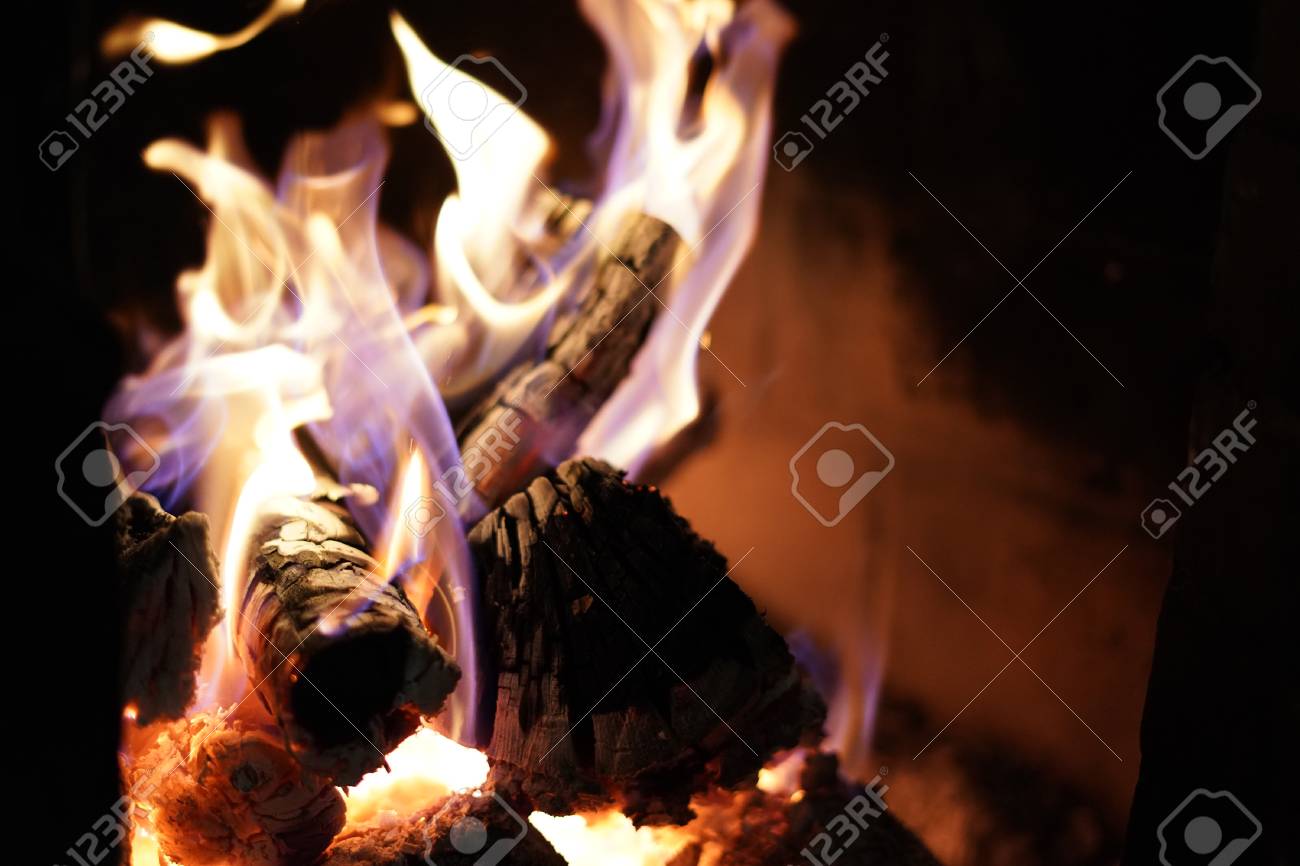 etiam-dictum-ipsum-a-felis