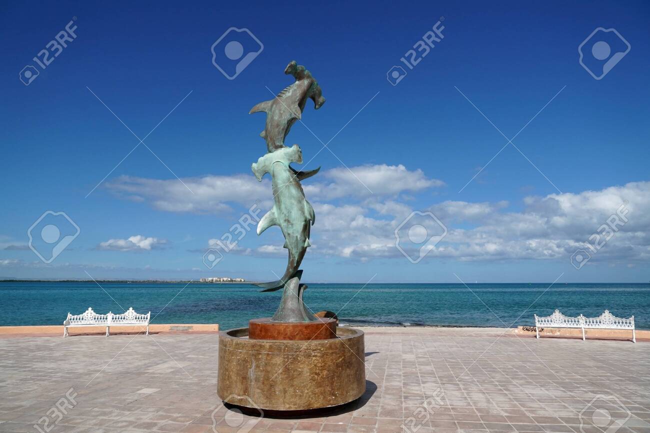La Paz Baja California Sur, Mexico beach near the sea promenade called Malecon hammered shark statue - 114273379 La Paz Baja California Sur, Mexico beach near the sea promenade called Malecon hammered shark statue - 114273379