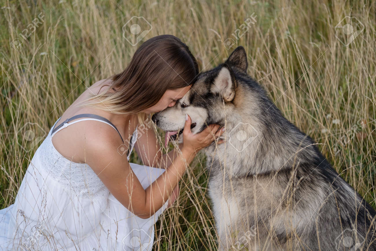 Happy Woman Hugging And Kiss Alaskan Malamute Dog In Summer Field Stock  Photo, Picture and Royalty Free Image. Image 172528246., image size:1300x867