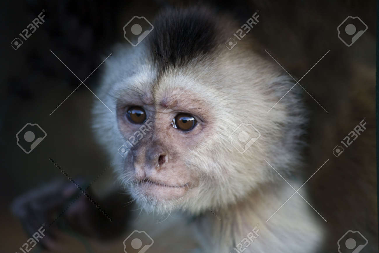 etiam-dictum-ipsum-a-felis